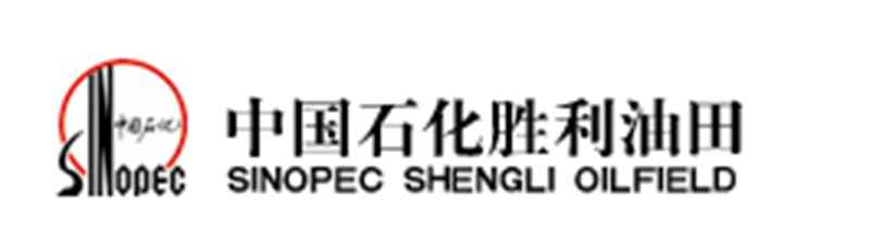 中國(guó)石化勝利油田